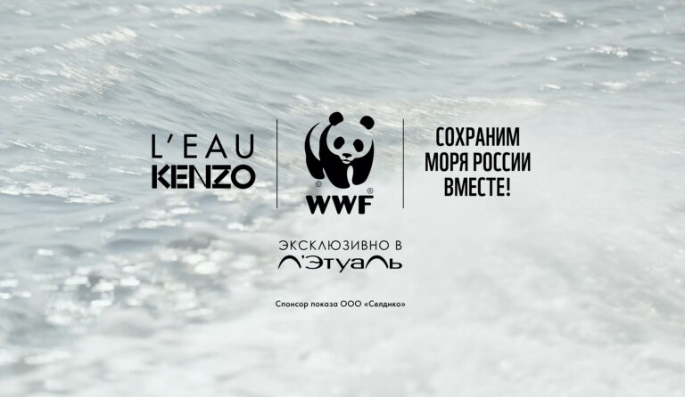 С экспертами исследуем экологические проблемы Японского моря и рассказываем, как его сохранить