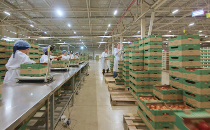 Рассказываем, как нацпроект поддерживает занятость и повышает эффективность рынка труда в разных отраслях бизнеса