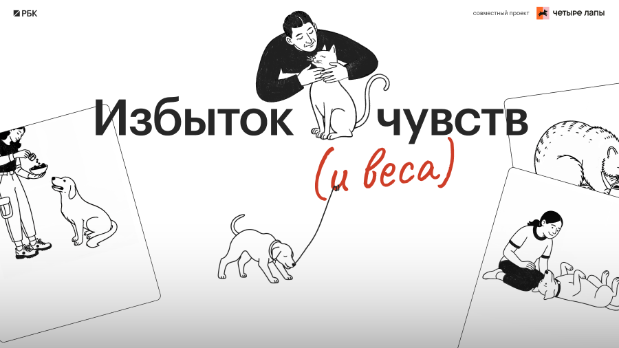 Что на самом деле нужно домашнему животному